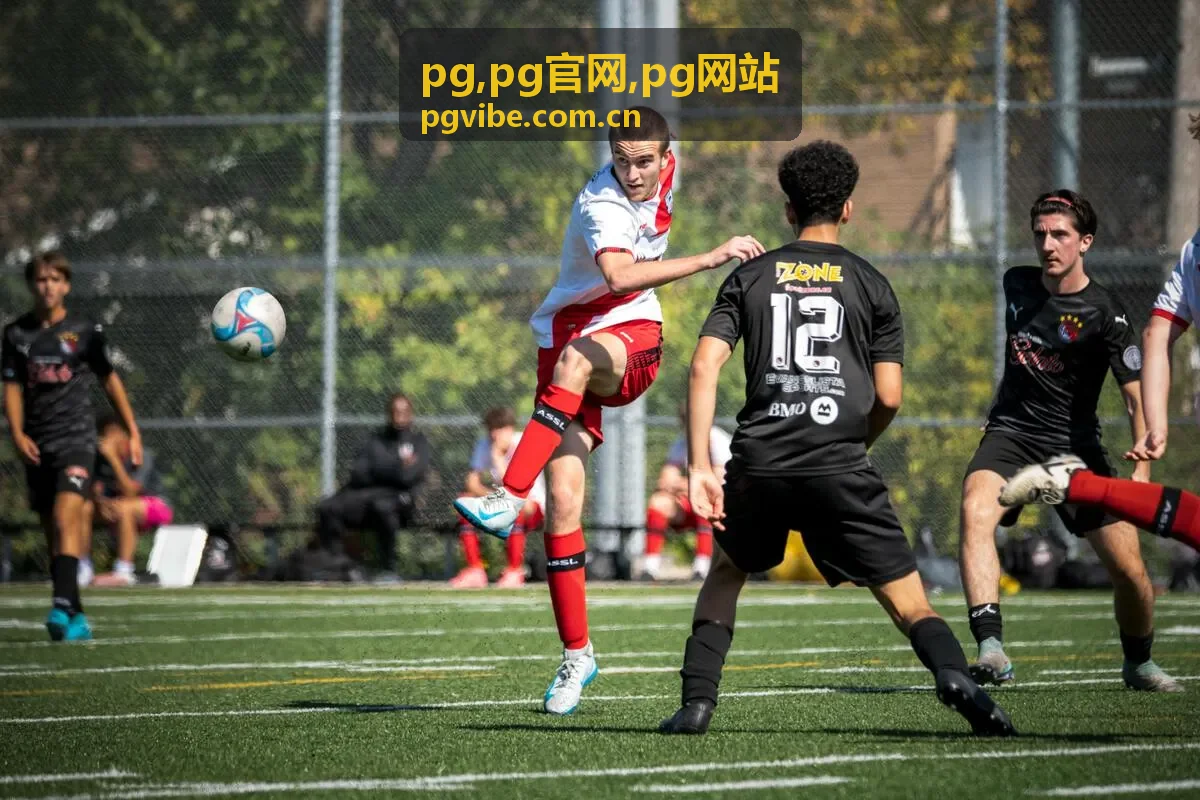 PG数据可视化仪表盘